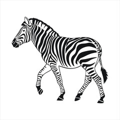 Obraz premium silhouette zebra on white background