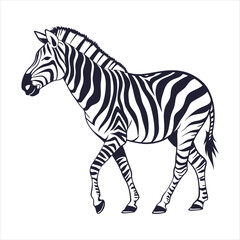 Obraz premium silhouette zebra on white background