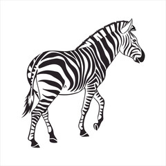 Obraz premium silhouette zebra on white background