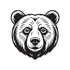bear head vector
