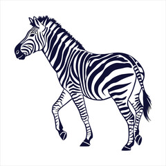 Obraz premium silhouette zebra on white background