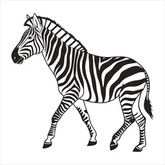 Fototapeta premium silhouette zebra on white background