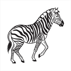 Fototapeta premium silhouette zebra on white background