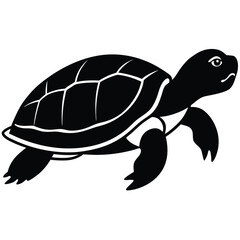 Fototapeta premium silhouette turtle on white background