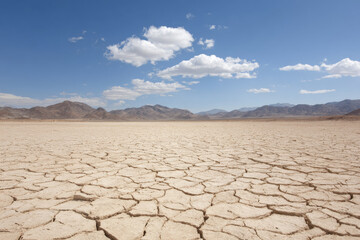 desolate landscape featuring large deep cracks on parched earth under scorching sun