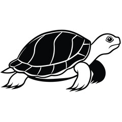 Fototapeta premium silhouette turtle on white background