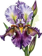 A delicate watercolor painting depicts three Bee Orchids (Ophrys apifera) featuring intricate petals that resemble bee-like shapes.