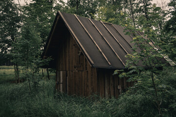 Mysterious Wooden Cabin Hidden Deep in the Forest with Calm, Moody Atmosphere