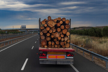 Rear view of a truck loaded with logs driving on the highway.
