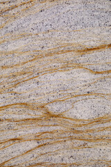 Wavy brown lines of organic material trapped within natural ocean foam create abstract patterns on the water surface. Bethells Beach, Auckland, New Zealand
