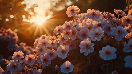 Delicate flowers bathed in golden sunlight.