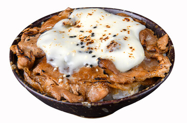 Teriyaki Pork Slice Rice Bowl with Scallions.