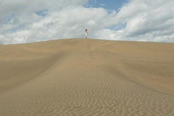 Solitary Figure on Sand Dunes in Desert Landscape