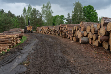 removal of logs from the forest