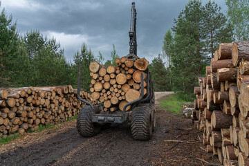 forwarder removes logs from the forest