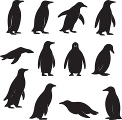 penguin silhouettes collection