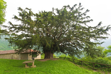 Yew Bermiego, Asturias, Spain