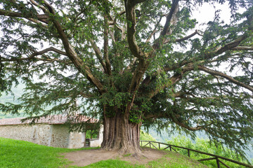 Yew Bermiego, Asturias, Spain