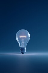 A light bulb is illuminated, against a monotone blue background that highlights the light and shape of the glass.