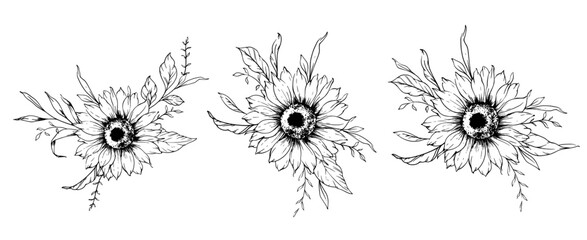 Sunflowers Line Drawing. Outline Sunflowers illustration. Hand Drawn Sunflowers Silhouette.  Monochrome Floral Line Art. Botanical Coloring.