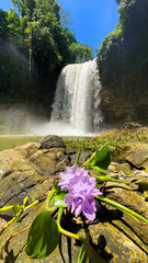 Water stream in Hikong Alo Falls and water hyacinth over the rocks. Lake Sebu, Philippines.