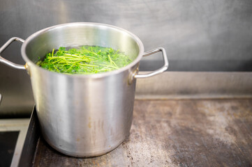 A stainless steel pot with boiling water and fresh green herbs, possibly parsley, on a stovetop in...