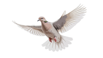 Fototapeta premium Dove flying isolated on transparent background