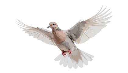 Obraz premium Dove flying isolated on transparent background