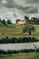 Alnwick Castle with Rolling Countryside in the Foreground, Northumberland
