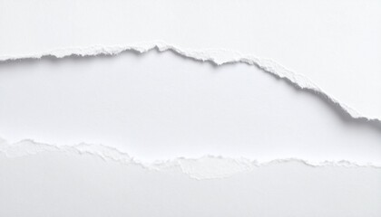 torn paper white