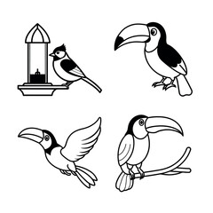 Obraz premium Adorable Bird Illustrations Toucans, Chickadees, and Bird Feeder
