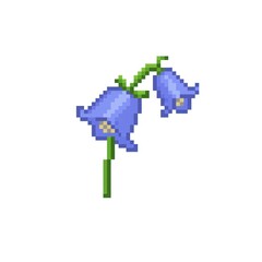 Pixel art depiction of two bluebell flowers with a green stem on a white background, ideal for digital design
