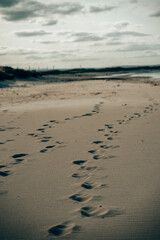 Empty Beach Scene on the Northumberland Coastline