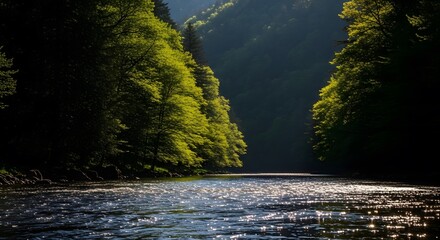 River Flowing Through Forest of Trees