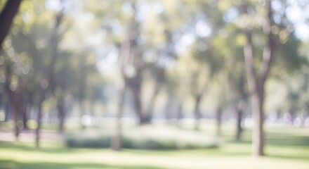 Blurred Park View with Trees and Green Grass