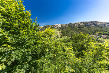 Cycle trail leading to Church of the Mother of God in Jurandvor