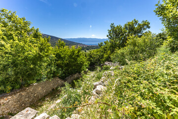 Cycle trail leading to Church of the Mother of God in Jurandvor