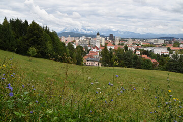 A grassy field and the skyline of Ljubljana in Slovenia