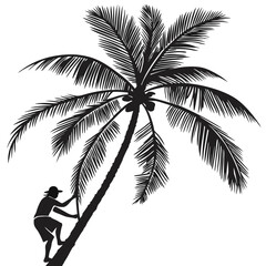 silhouette coconut on white background