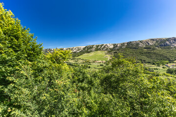 Obraz premium Cycle trail leading to Church of the Mother of God in Jurandvor