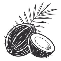 silhouette coconut on white background