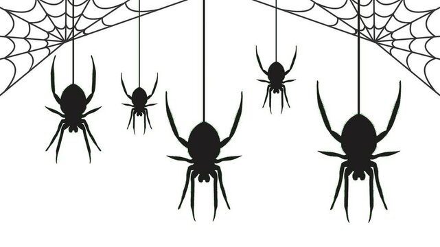 Animation of multiple spiders dangling from webs with a clean white background, ideal for spooky Halloween decorations or overlays.