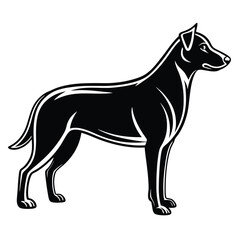 Fototapeta premium Strong black dog silhouette standing profile