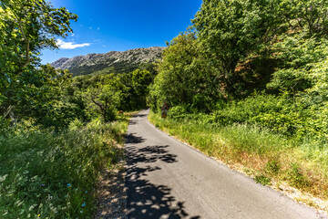 Cycle trail leading to Church of the Mother of God in Jurandvor