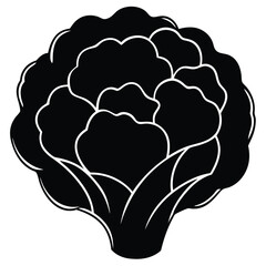 silhouette cauliflower on white background