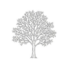 Obraz premium A simple tree illustration on a white isolated background