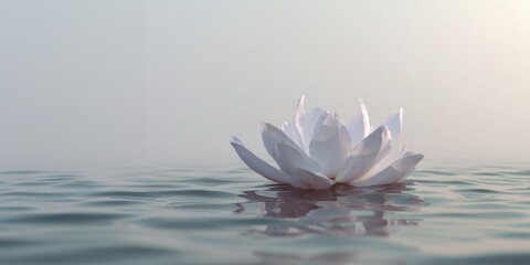 Minimalist 3D lotus floating on water with soft lighting for spa therapy branding and mindfulness app interfaces.
