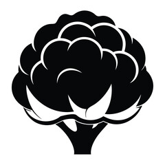 silhouette cauliflower on white background