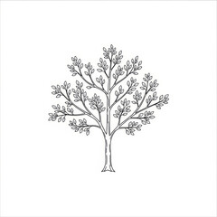 A simple tree illustration with leaves on a white background