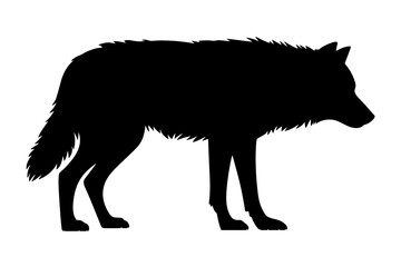 Silhouette of a wolf standing on a white background